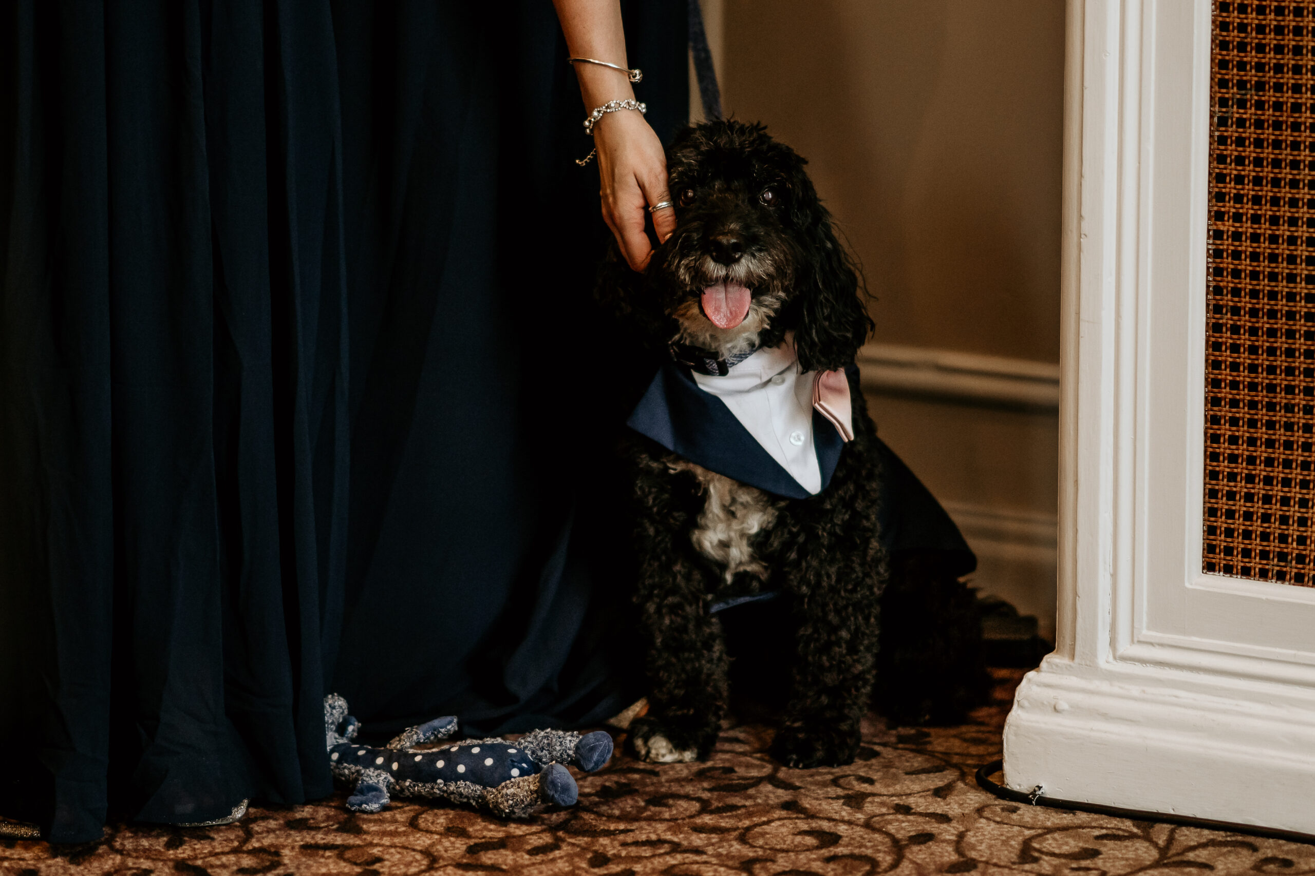 dog at chesterfield wedding
