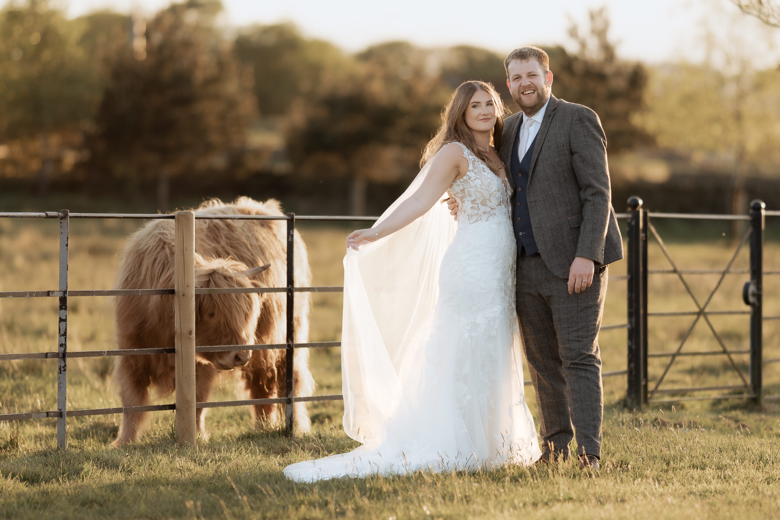 Peak edge hotel wedding highland cows